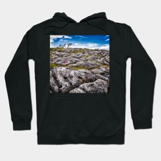 Limestone Pavement Hoodie